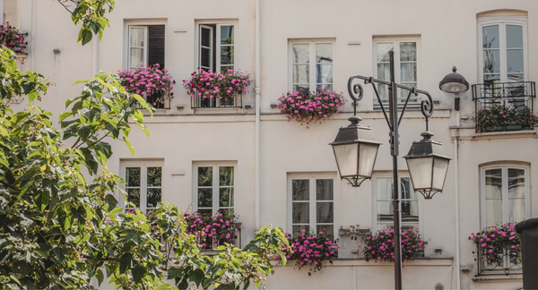 SUITSUIT TRAVEL GUIDE | Paris, Amsterdam, and Cuba