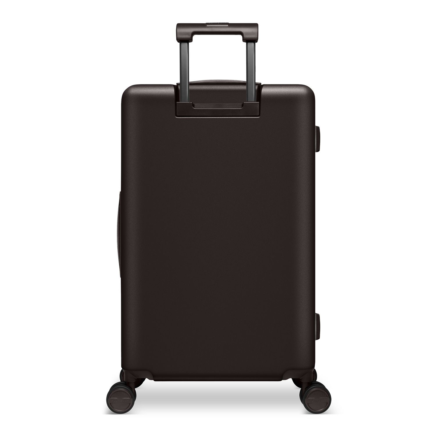 Mystique - Ground Coffee - Check-in (66 cm)