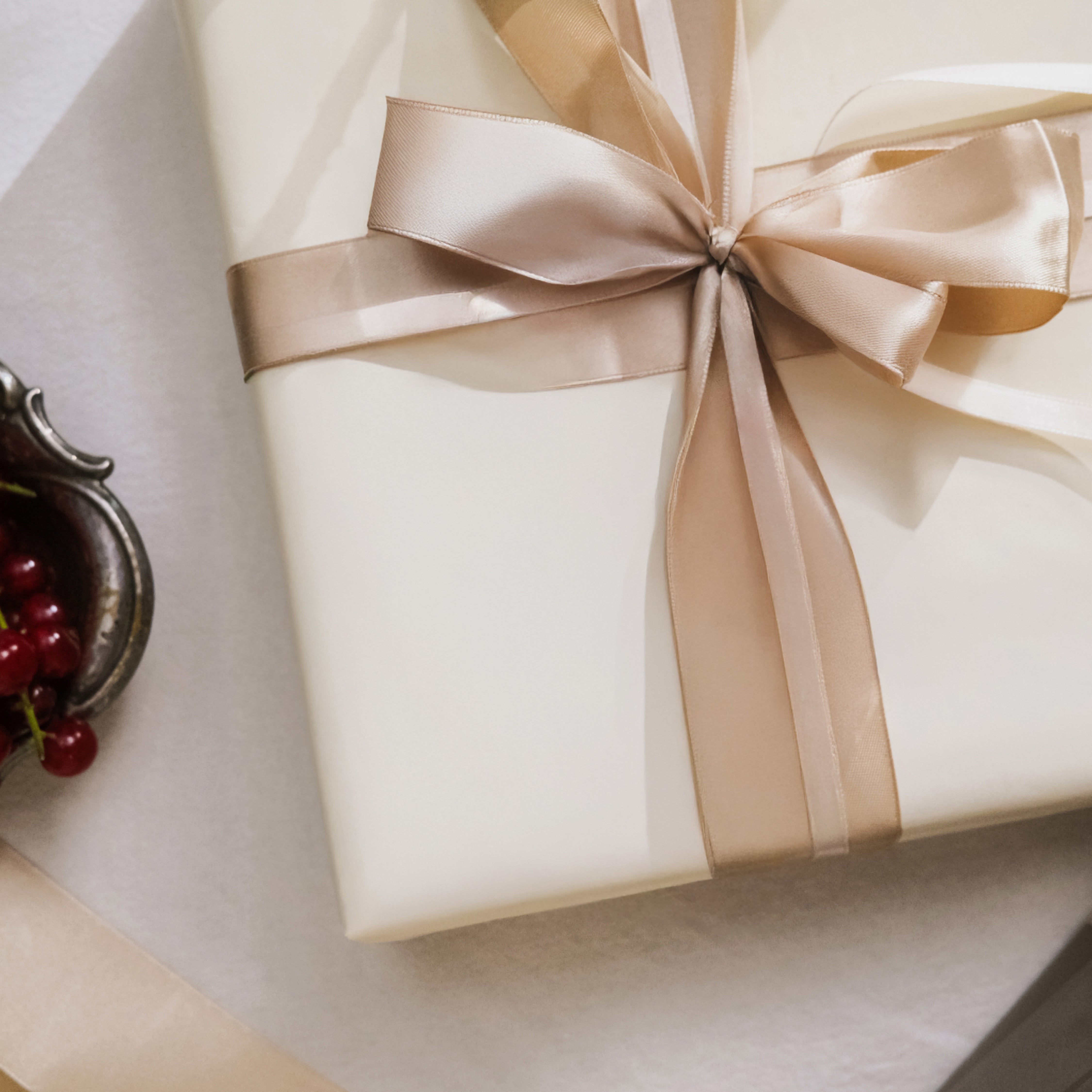 SUITSUIT Special Gift